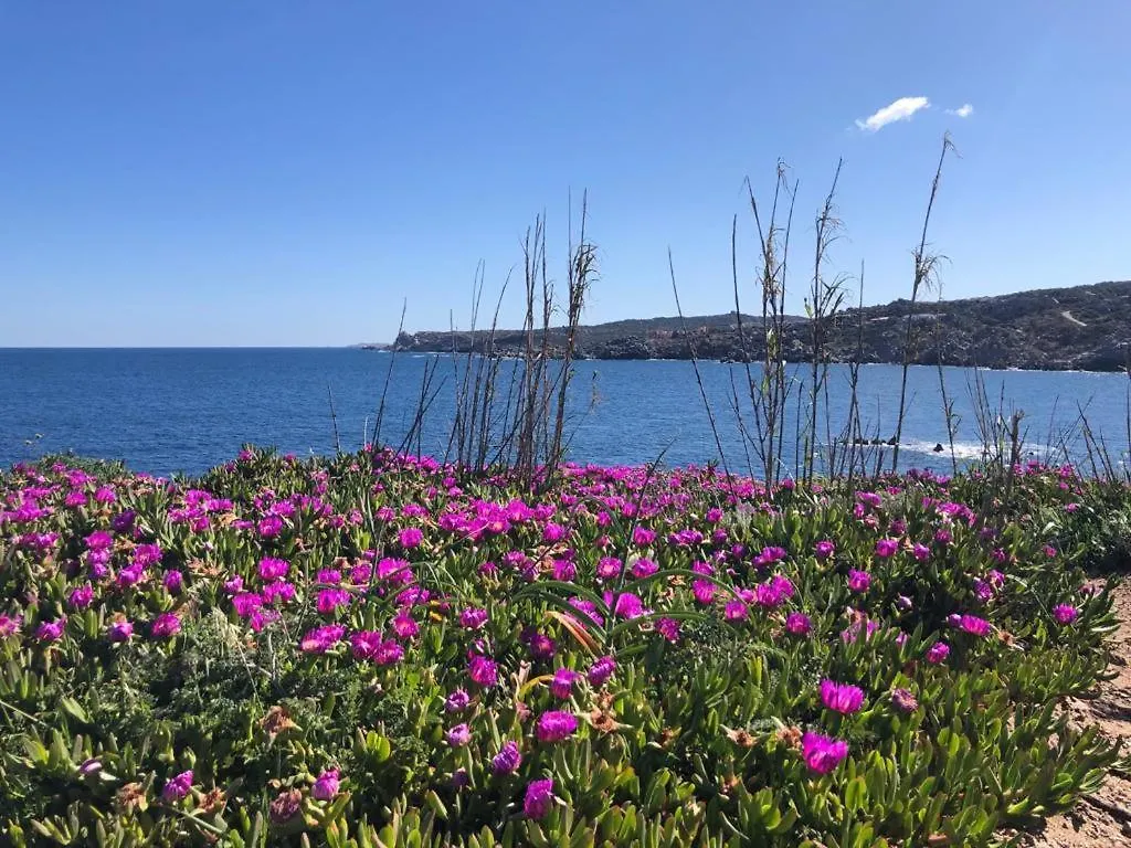 Relaxing Cristal Blu Studio M4 Sleeps 4 Santa Teresa Gallura