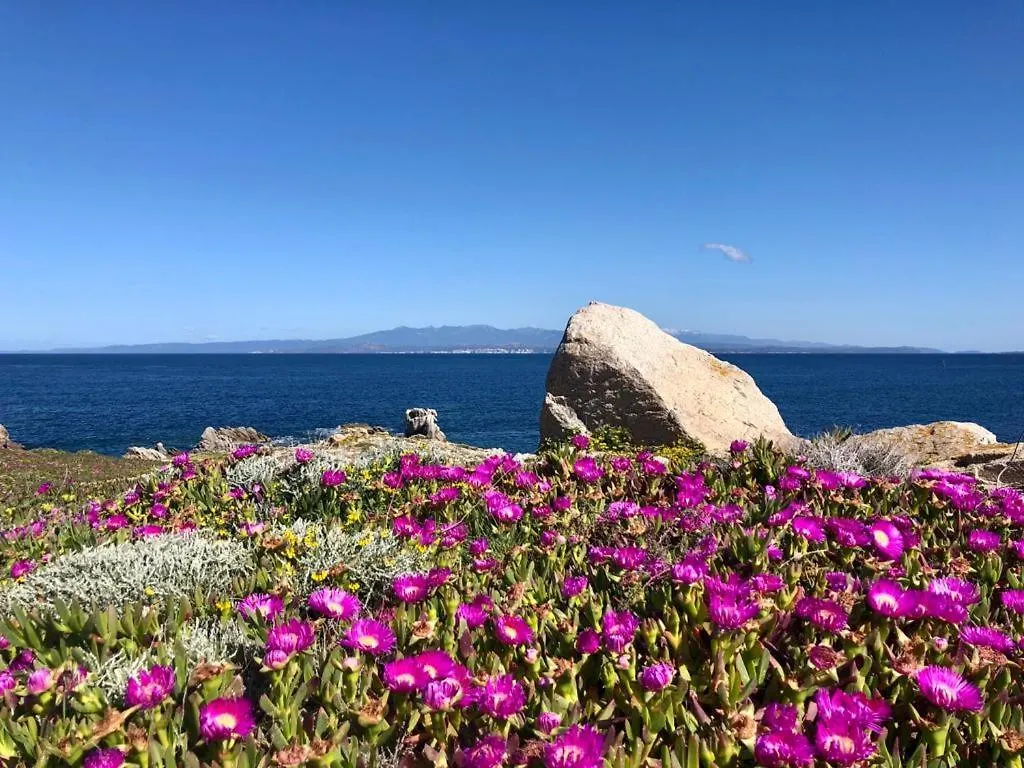 Relaxing Cristal Blu Studio M4 Sleeps 4 Santa Teresa Gallura Italy